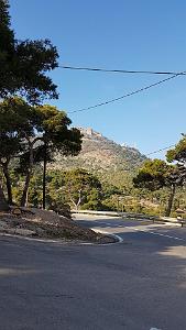 ORAN ROUTE DES PLANTEURS 2